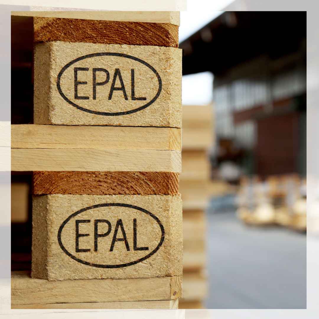 palets-de-madera-recuperaciones-ragar (2)